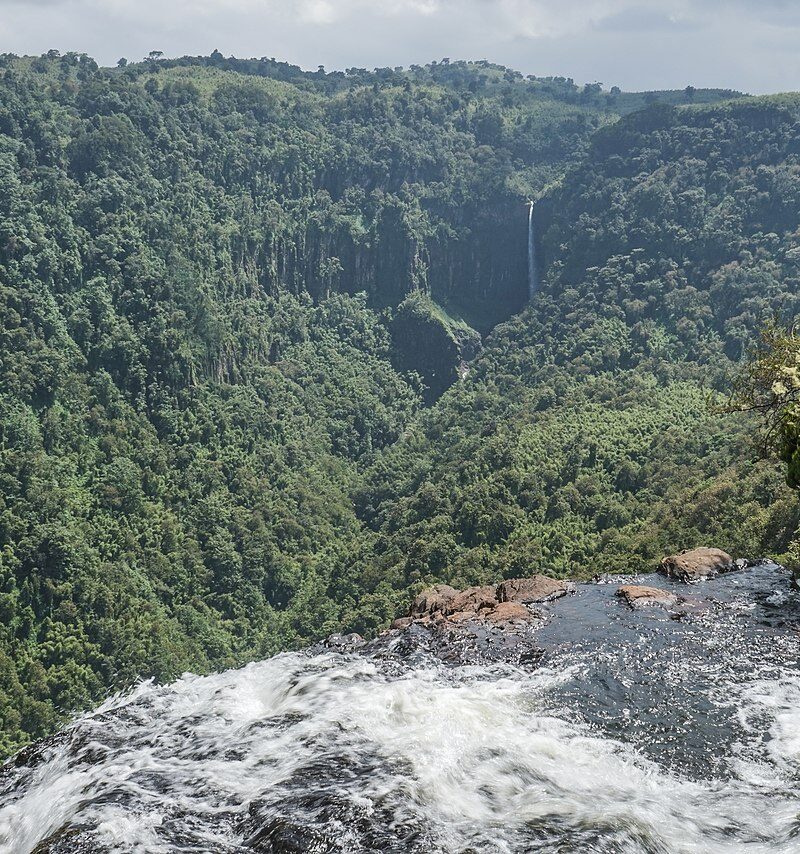 Aberdare National Park