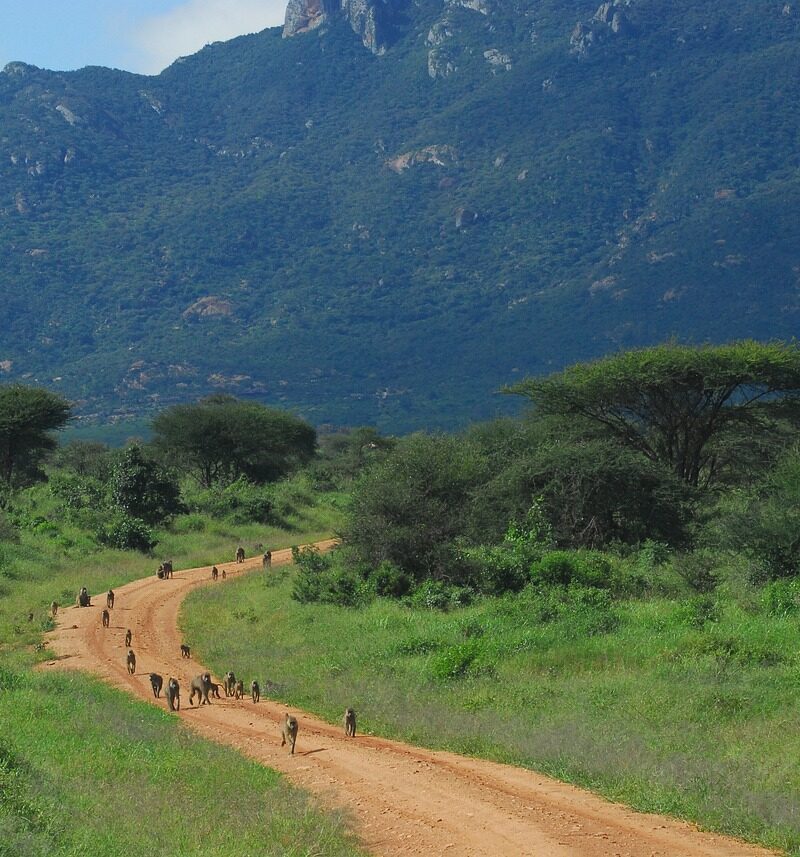 Tsavo West National Park