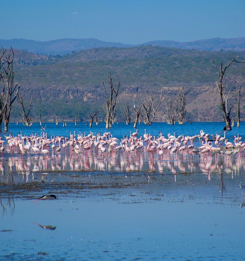 Lake Nakuru National Park