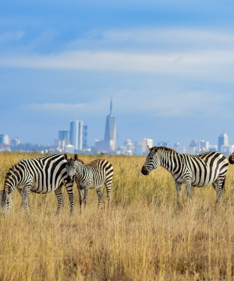 Nairobi National Park