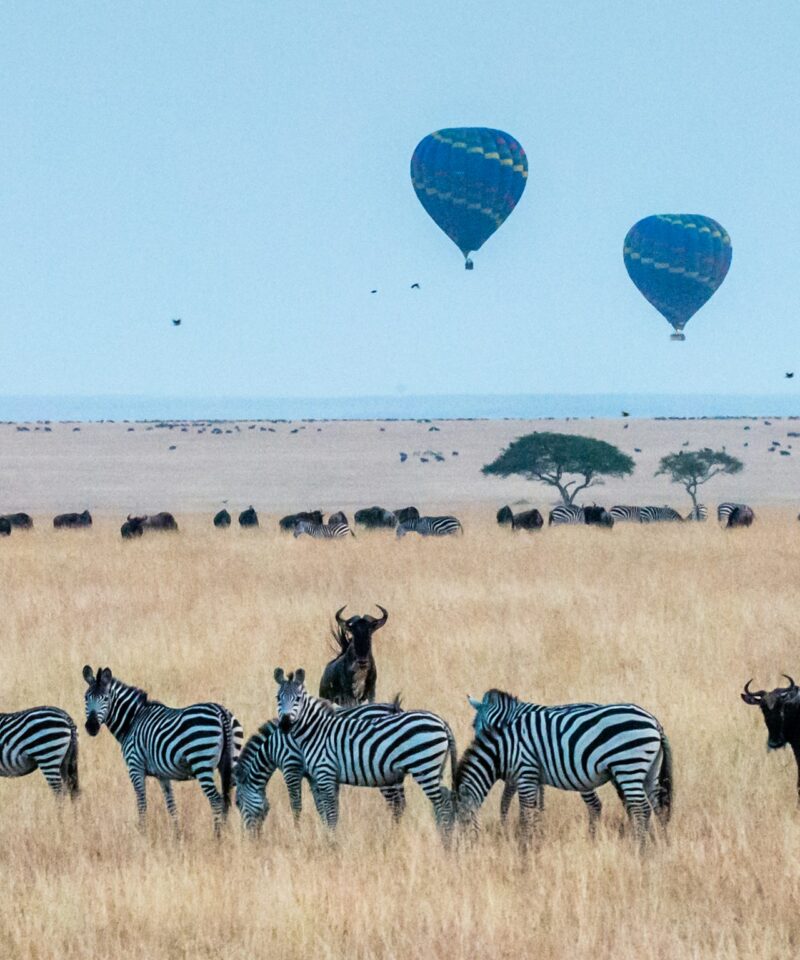 Maasai Mara National Reserve