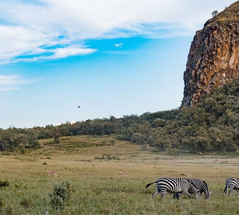 Hells Gate National Park