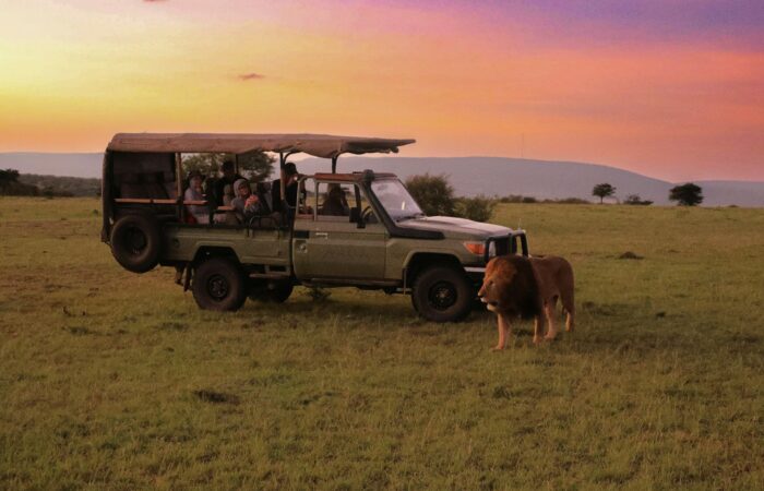 Why Kenya is the Ultimate Safari Destination