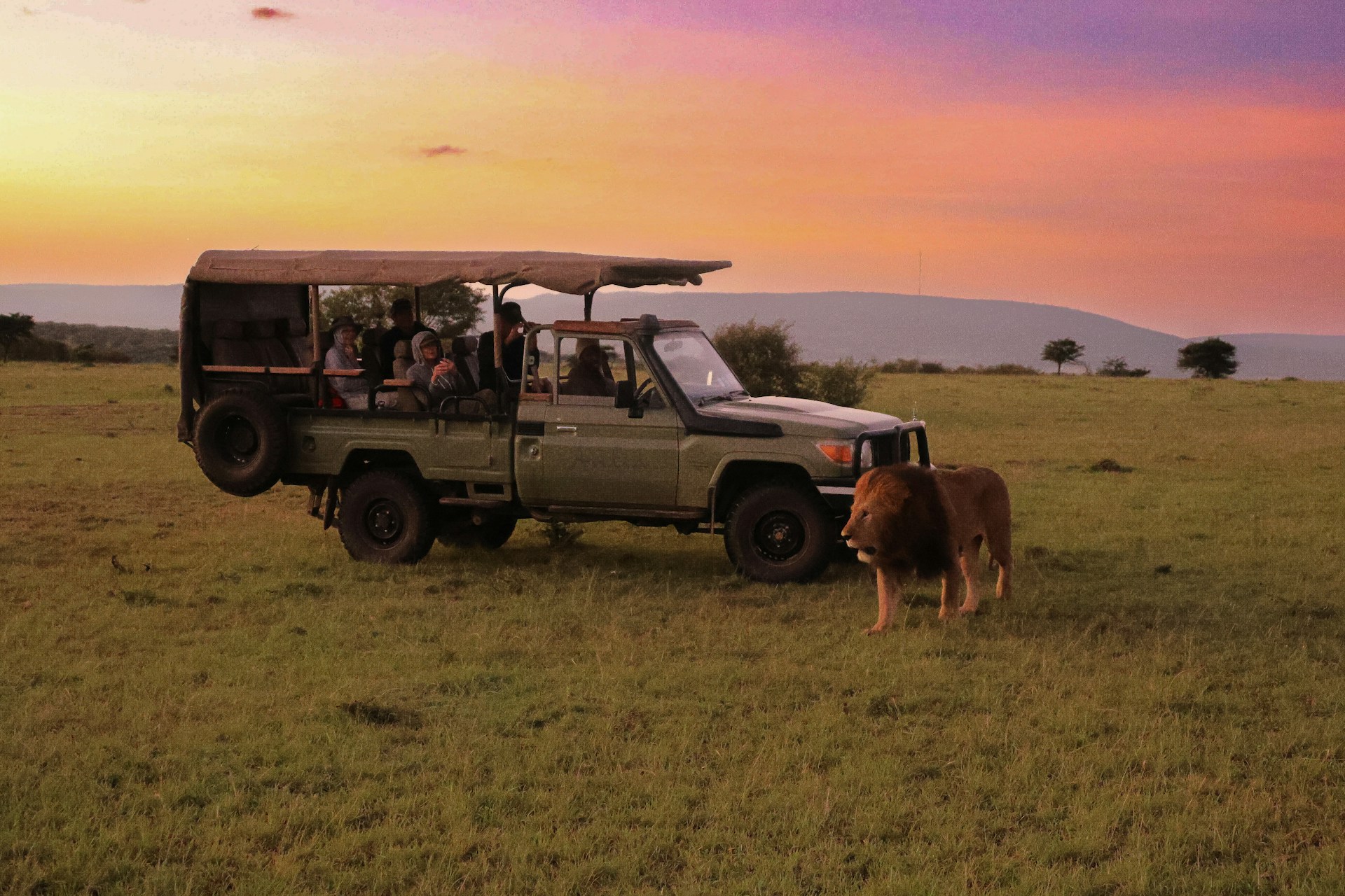 Why Kenya is the Ultimate Safari Destination