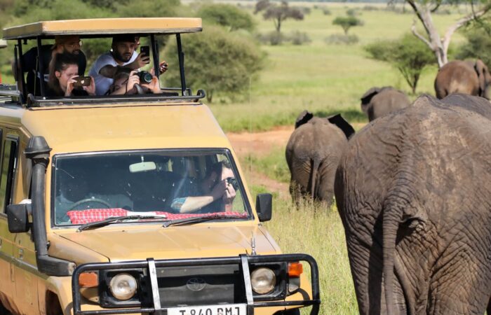 African Safari : Discover the Ultimate Wildlife Adventure