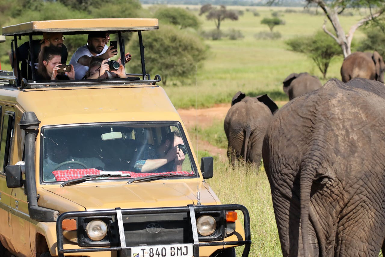 African Safari : Discover the Ultimate Wildlife Adventure