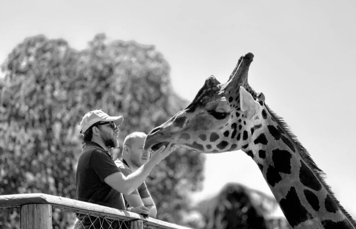 Family Safari in Kenya
