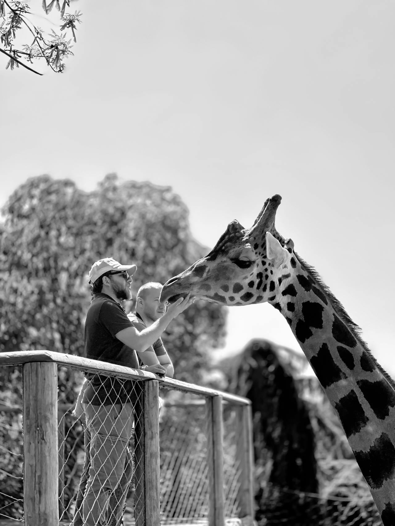 Family Safari in Kenya
