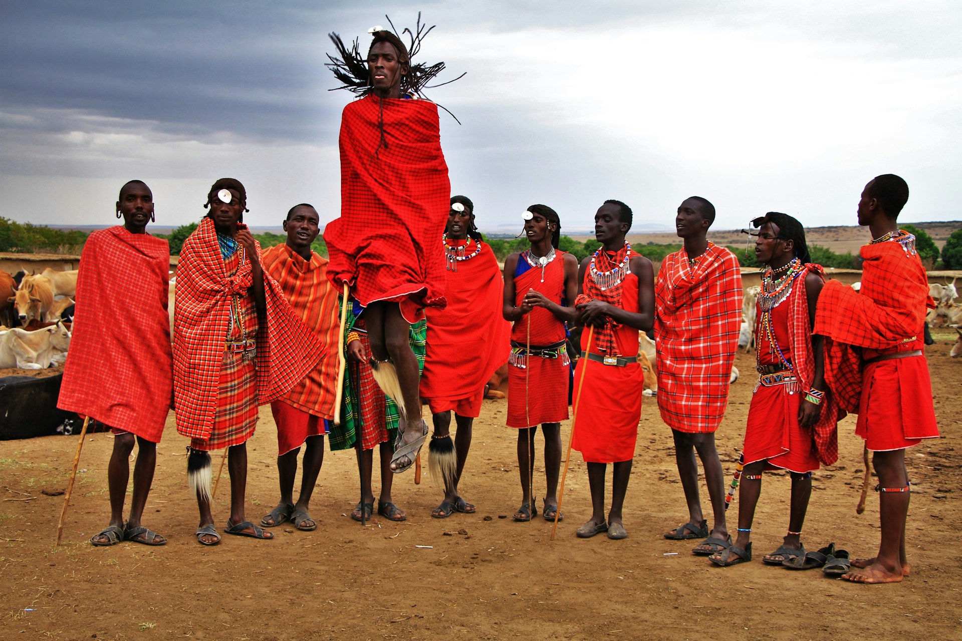 Meet the Maasai: Cultural Encounters You’ll Never Forget