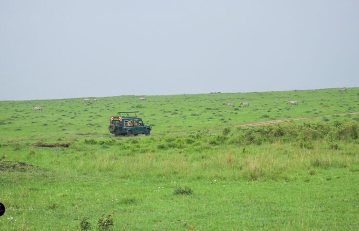Kenya Safari Tours