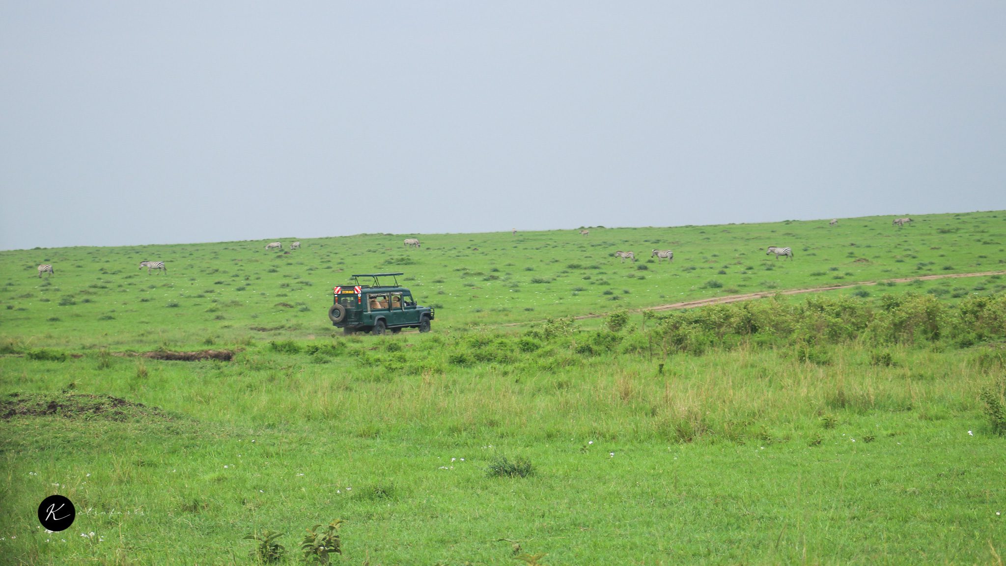 Kenya Safari Tours