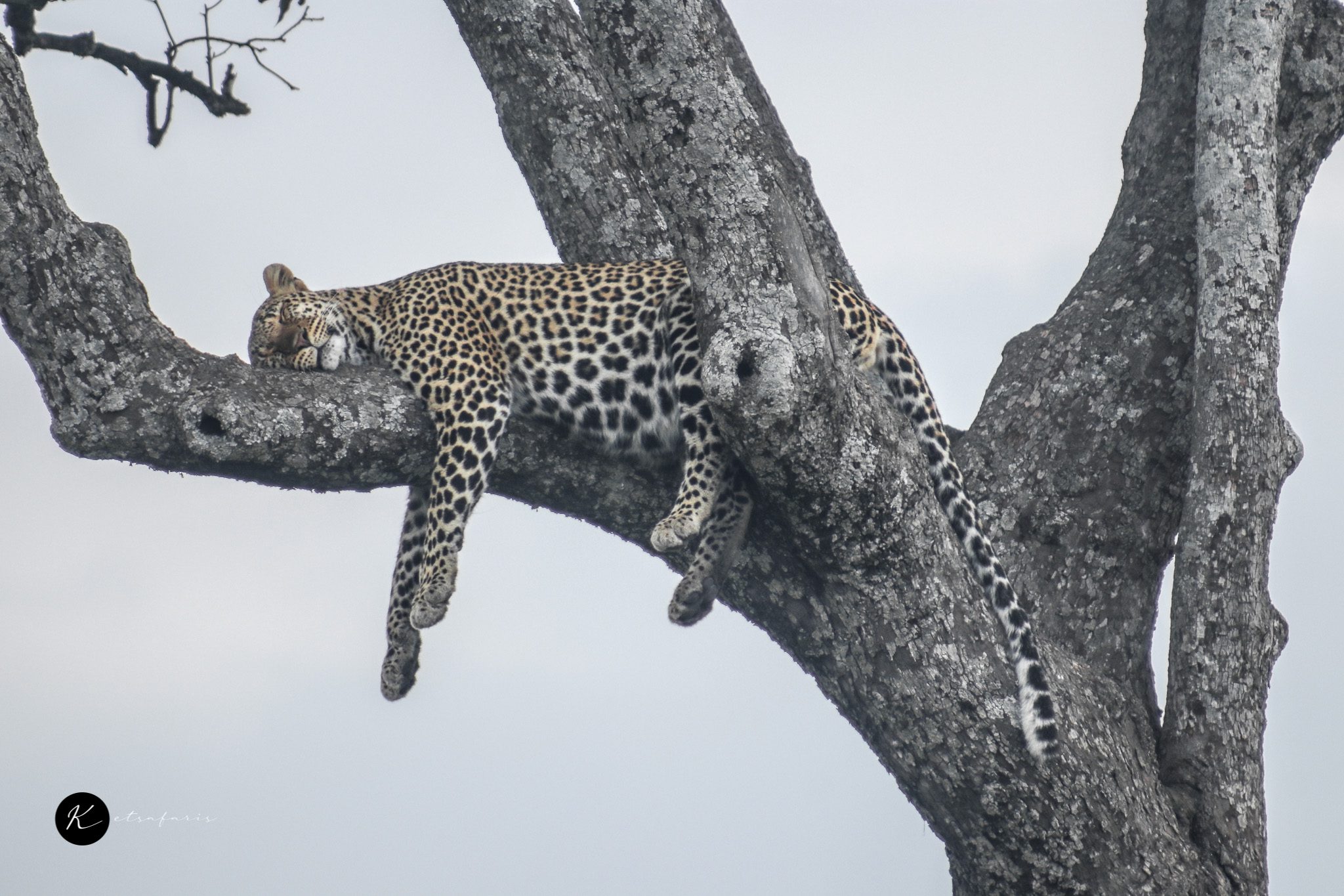 Mombasa Beach Mombasa Beach