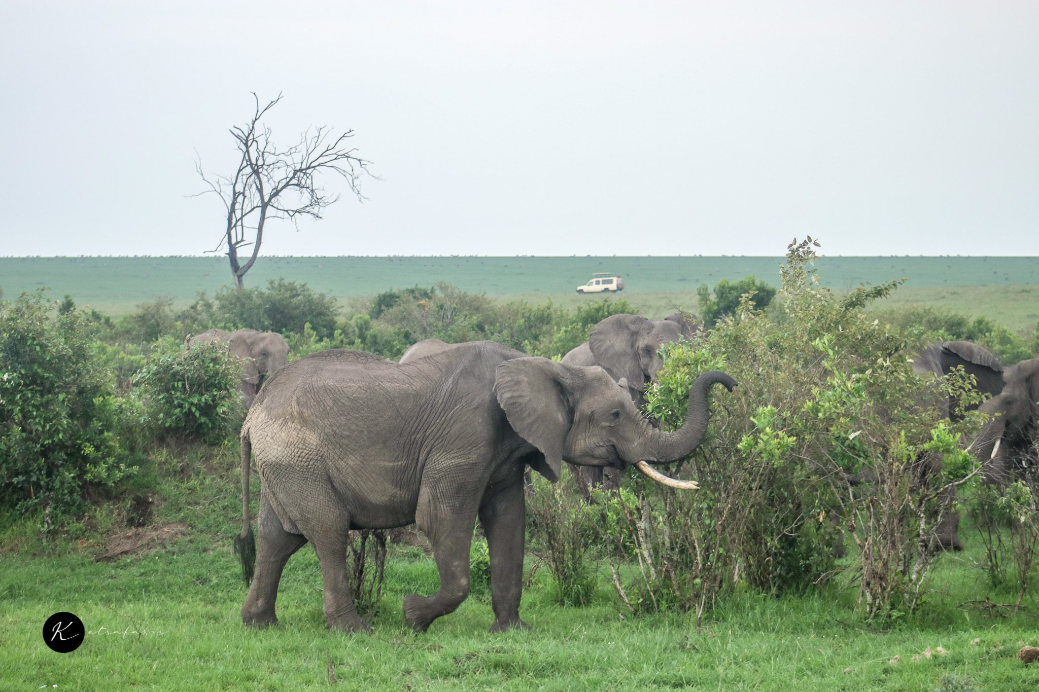Mombasa Beach Mombasa Beach