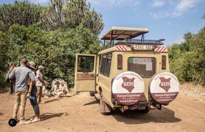 Mombasa safari