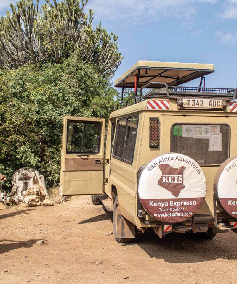 Mombasa safari