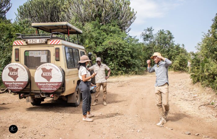 kenya safari tours