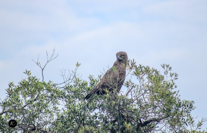 Tanzania Travel Advice