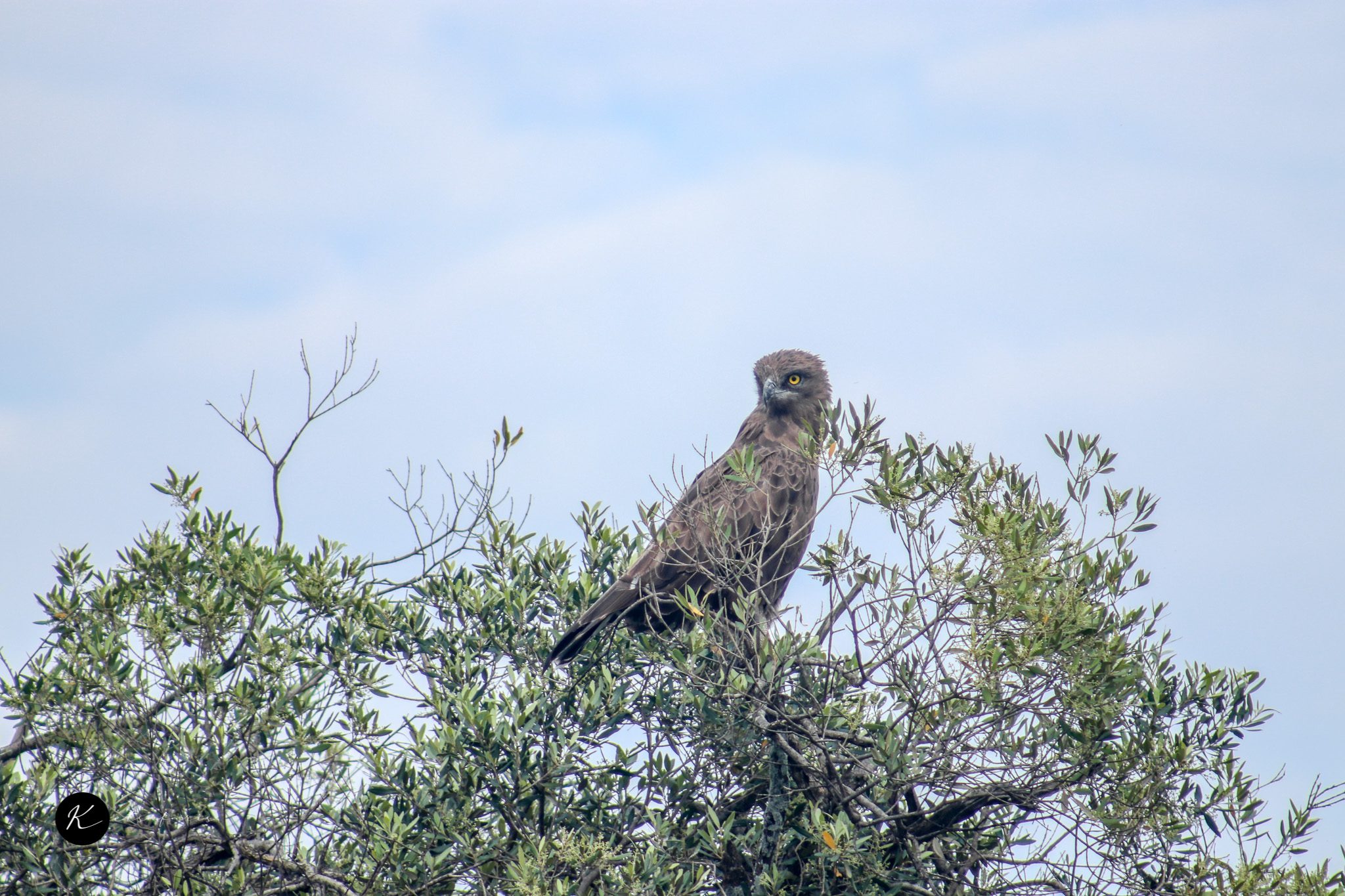 Tanzania Travel Advice