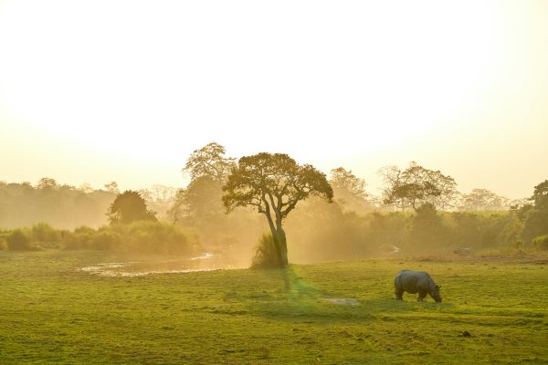 Best africa Safaris